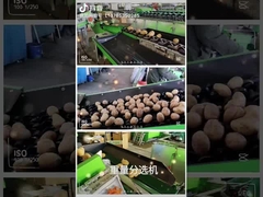 دستگاه شستشو و مرتب سازی میوه