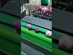 سفارشی کردن میوه سبزیجات گریدر