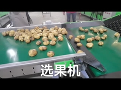 سفارشی کردن میوه سبزیجات گریدر