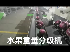 دستگاه دسته و توزین الکترونیکی میوه