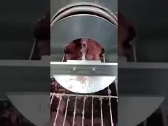 کمربند جداکننده استخوان ماهی از نوع PU ، کمربند جداکننده استخوان از نوع PU، کمربند حمل کننده